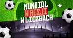 mundial_w_liczbach.png