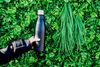 Person holding insulated water bottle in front of greenery. .jpg