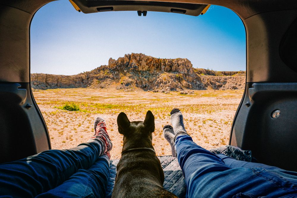 Two people stretch their legs and look out from the back of their camper van at a view, their dog sits in between them.jpg