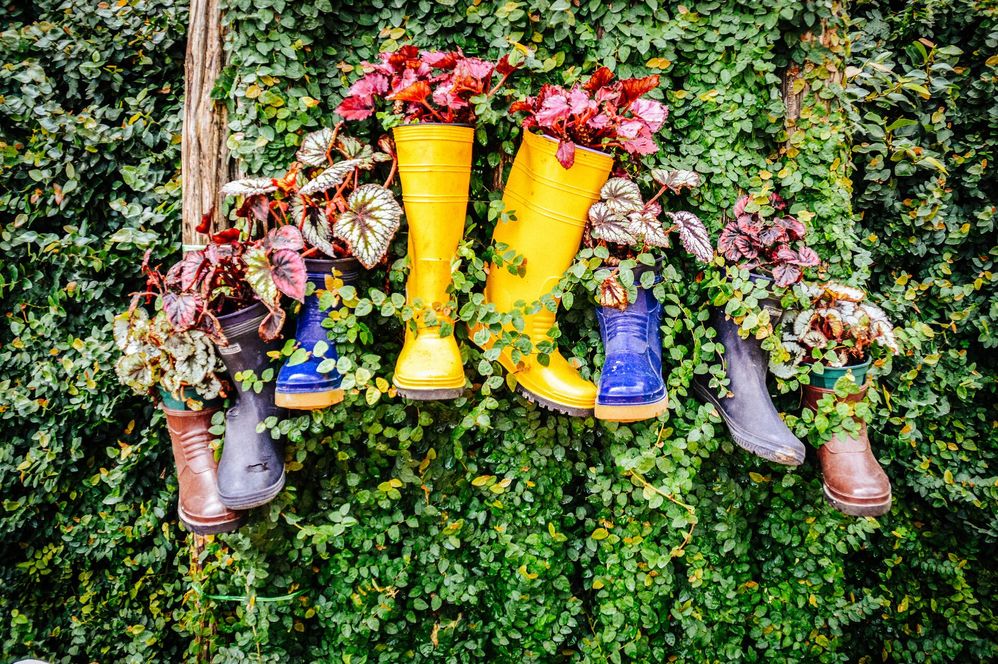 Large_MS PPT_Web-Plant-filled boots hang from an outside foliage-covered wall.jpg