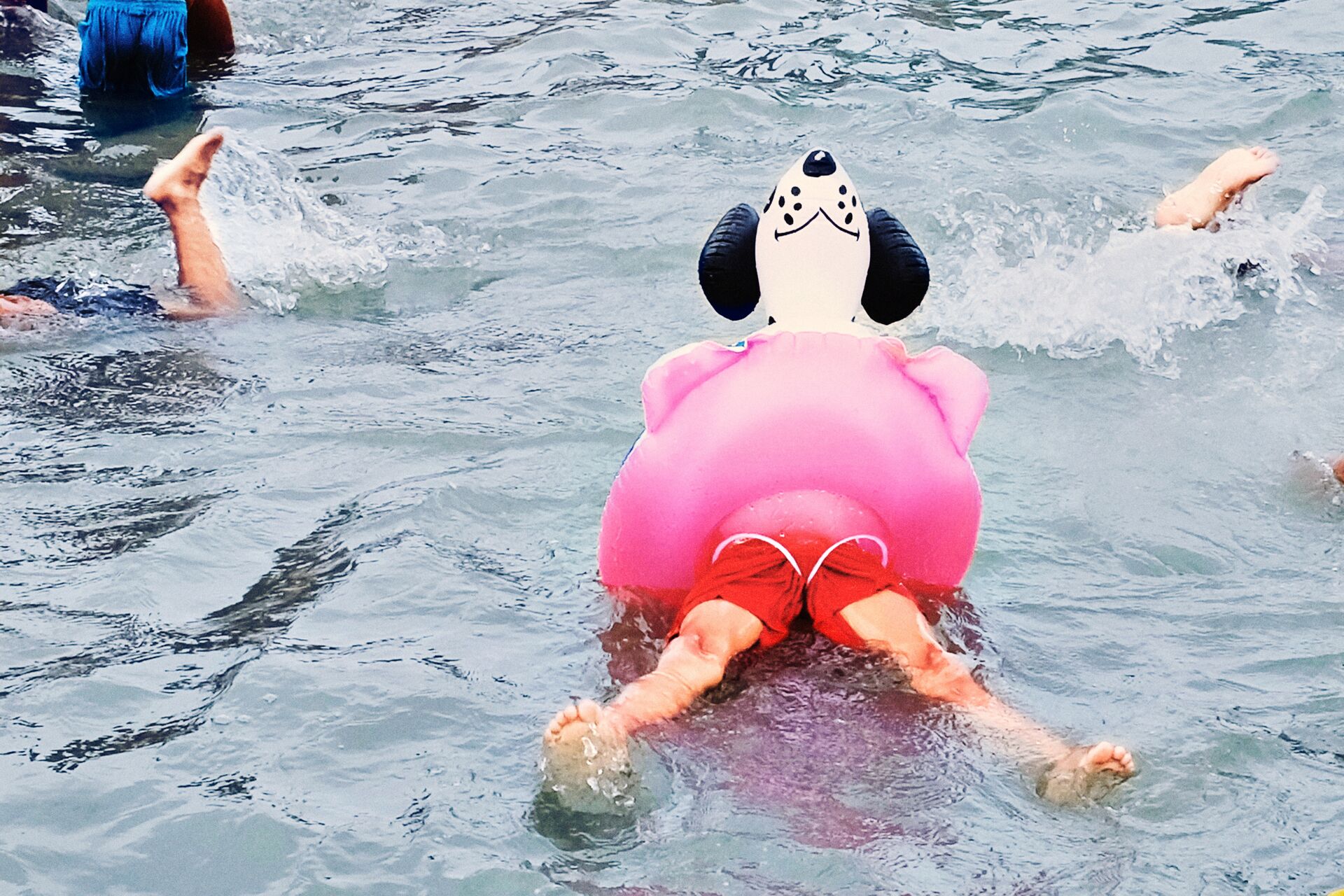 Large_MS PPT_Web-Child lying on his back in the water with a pink pool float with a dog's head on it..jpg