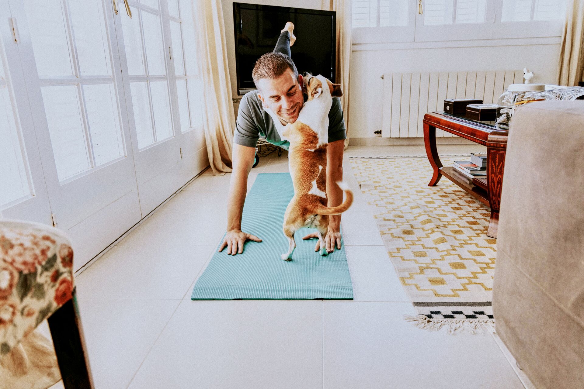 Large_MS PPT_Web-A man gets interrupted by his small dog while standing in a yoga position on a mat in the living room.jpg