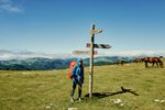 Large_MS PPT_Web-A female hiker with a backpack stands in an open grassfield with wild horses and mountains in the background.jpg