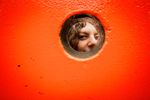 Large_MS PPT_Web-A woman peeking through a small round opening.jpg