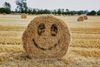 Large_Web and Screen-Stray bales with smiley faces on a field.jpg