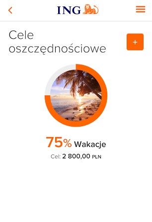 cel oszczędnościowy moje ing